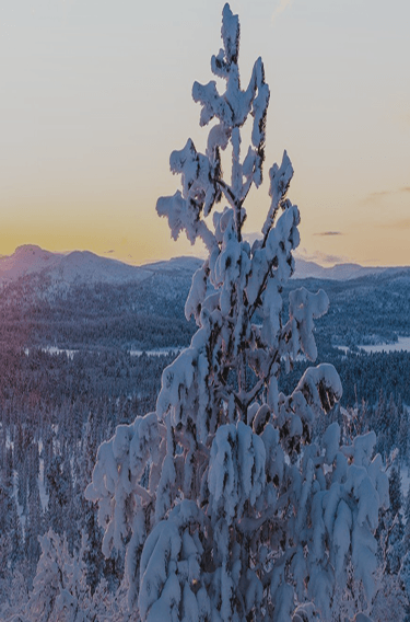 finland