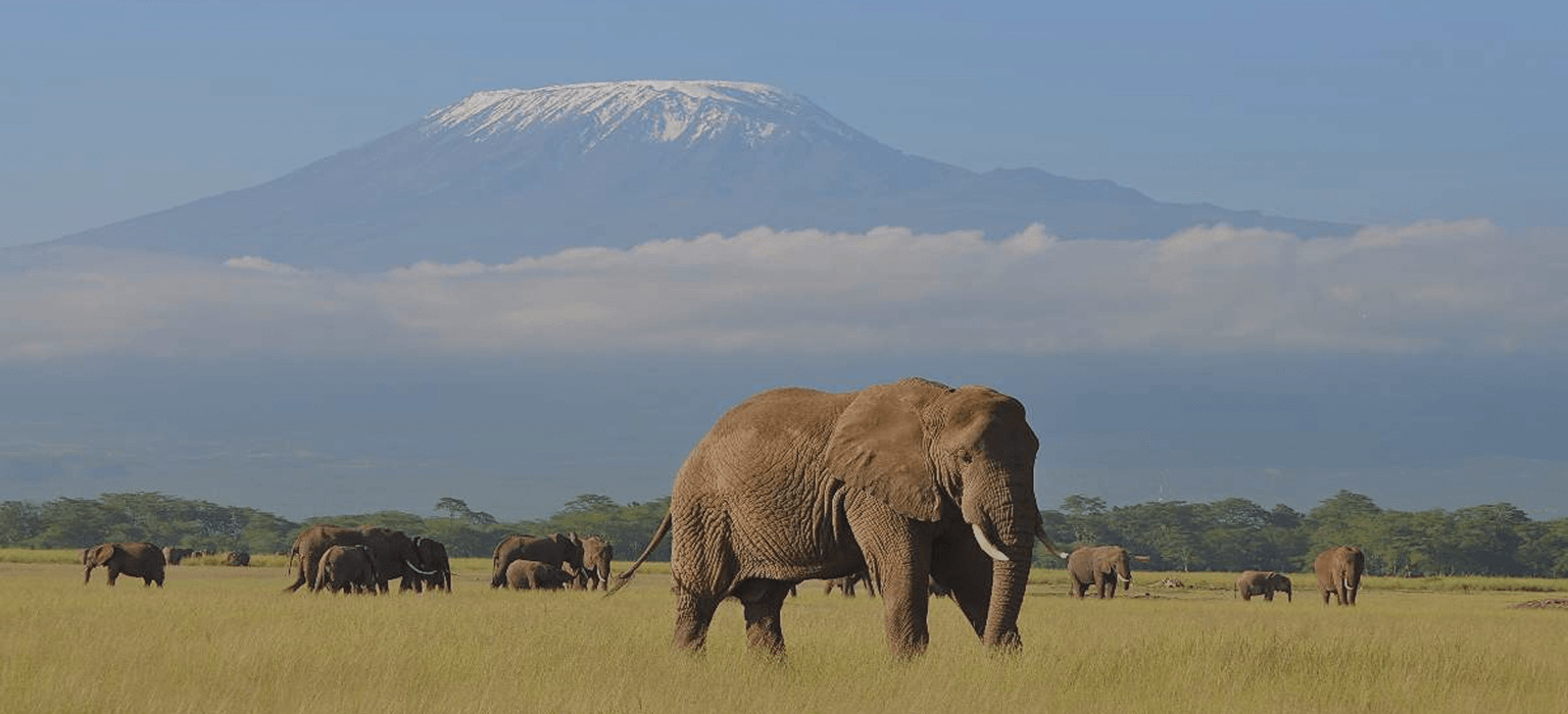 kenya