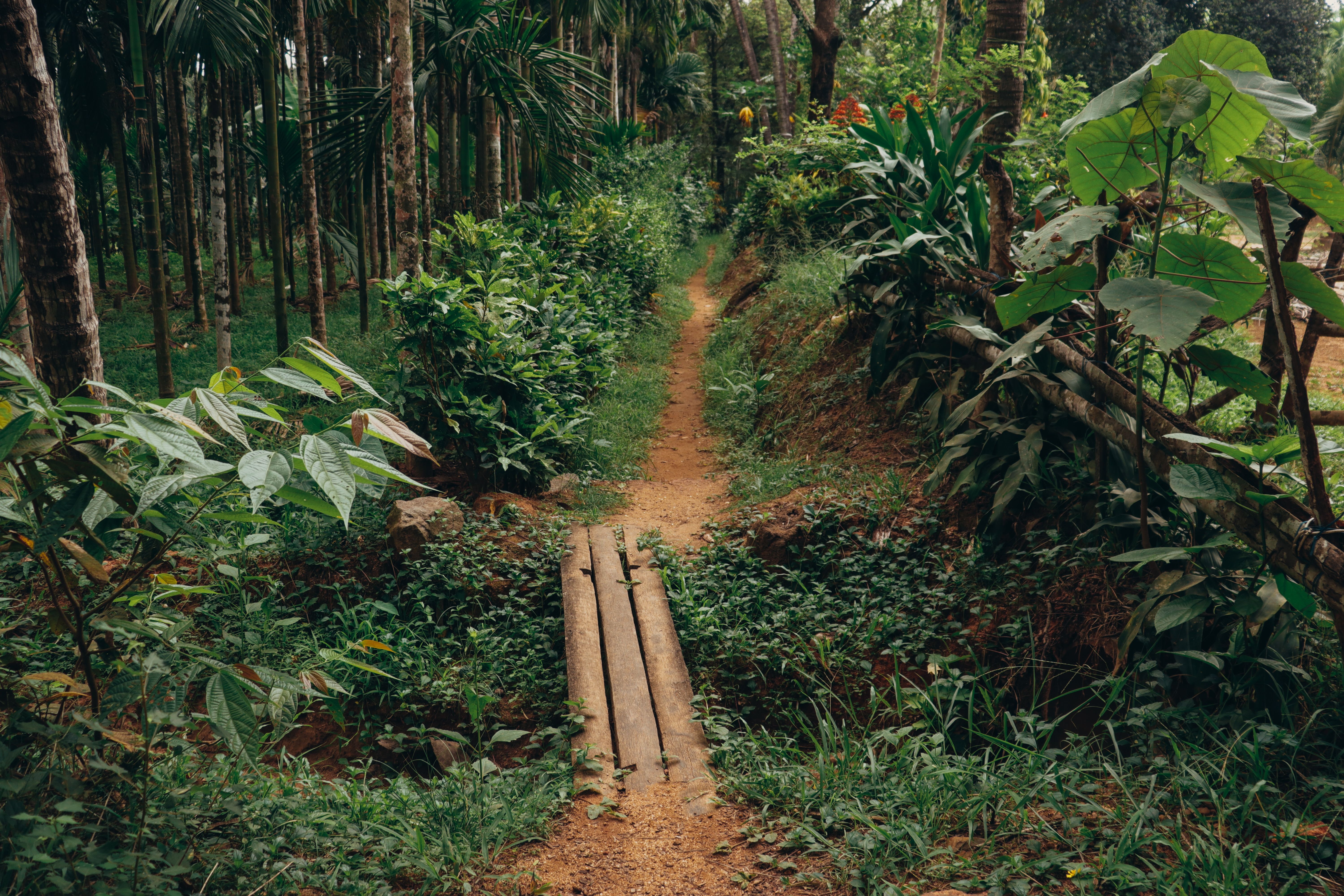 Sri Lanka Mini tour