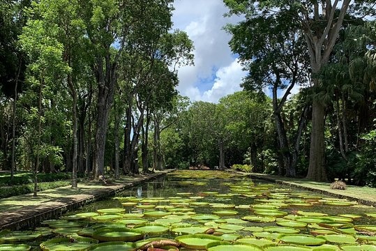 Private Guided Tour of Northern Mauritius with Shopping in Port Louis