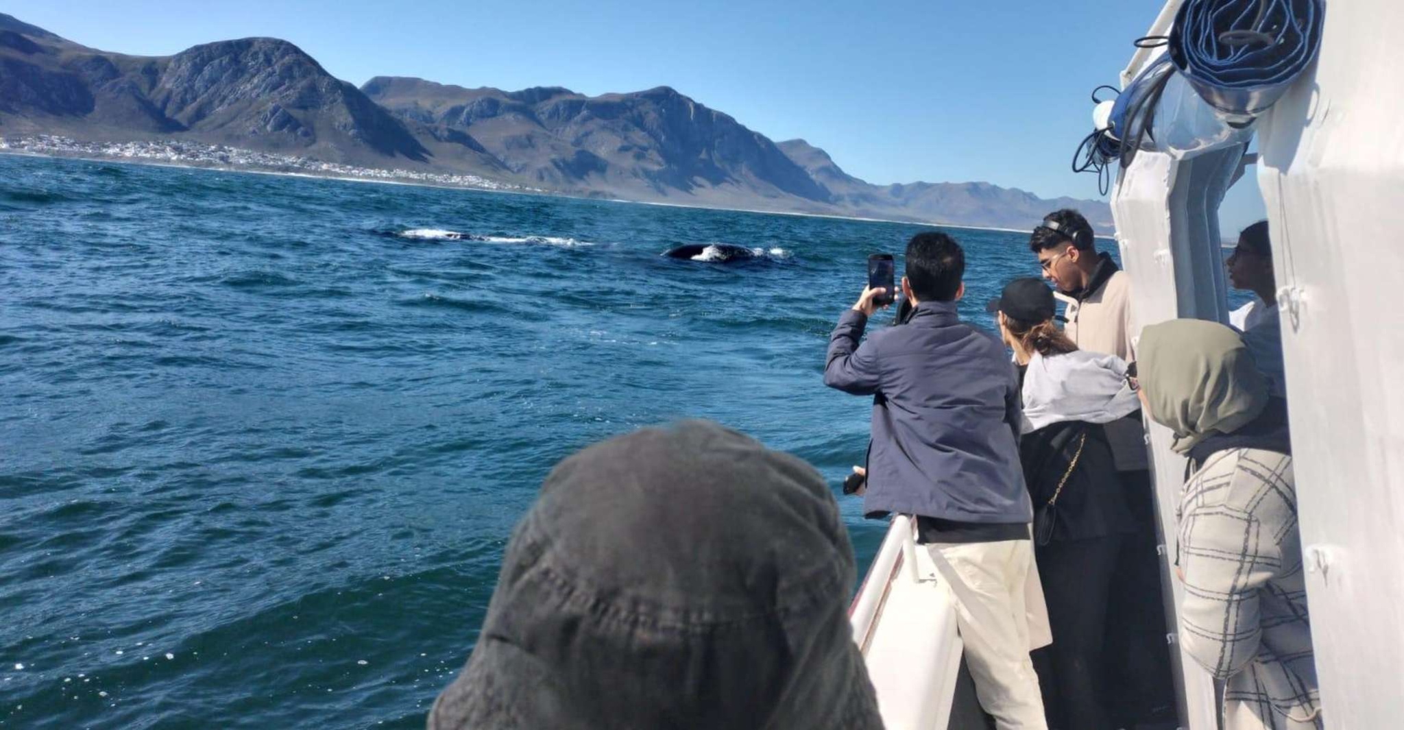 Private Hermanus Whale Watching Tour Boat and Coastal Drive