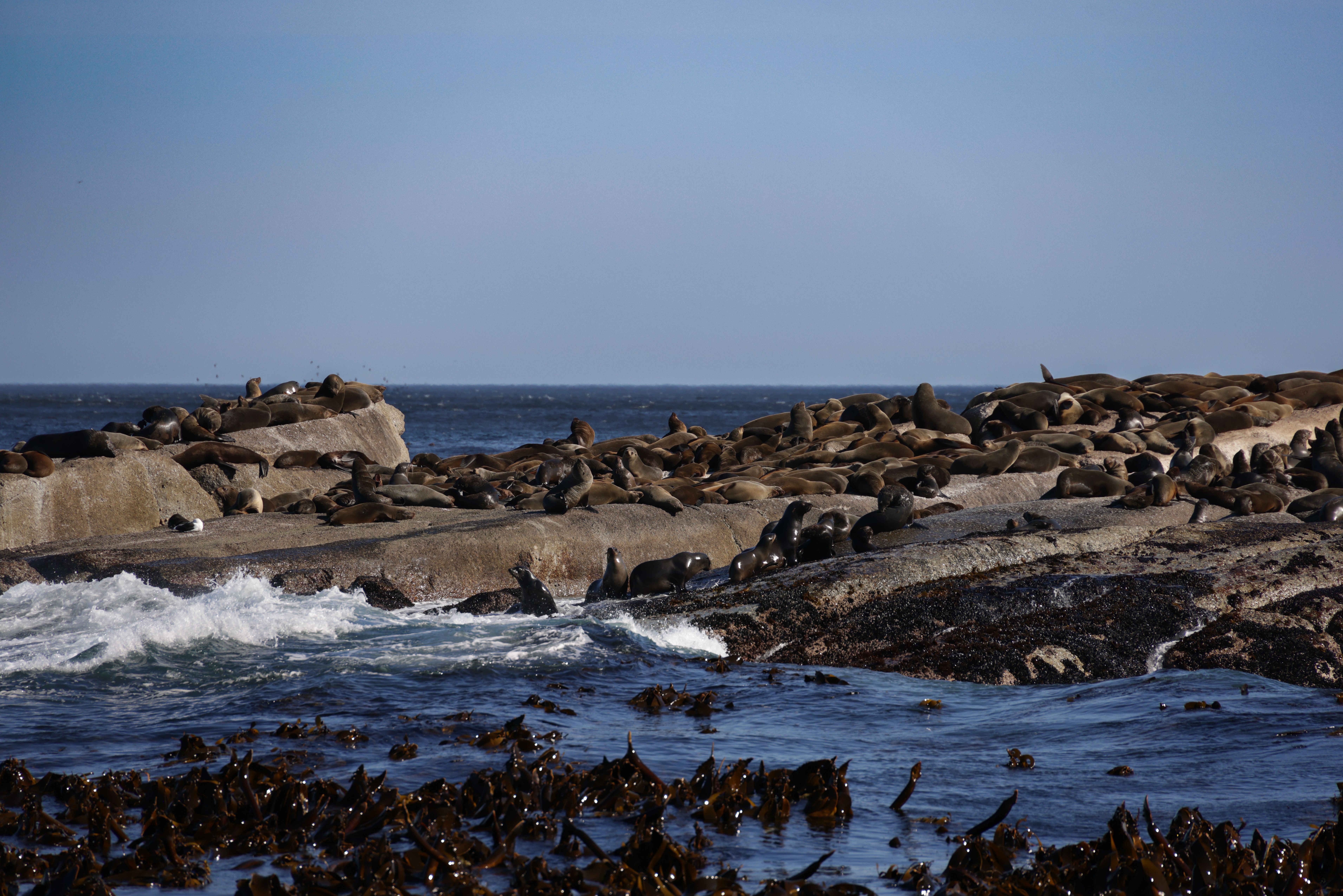 Robben Island Tour