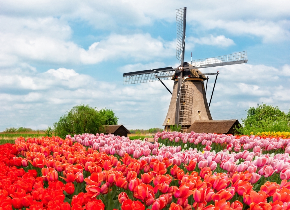 Amsterdam and Berlin Getaway