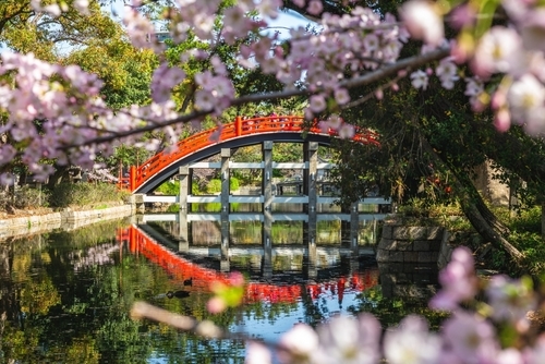 Golden Osaka City Lights, Kyoto Temples and Sacred Mt. Koya