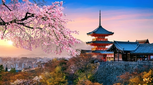 Tokyo Luxe Escape Disney Magic and City Highlights